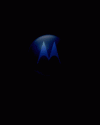 Avatar de wesleycasati